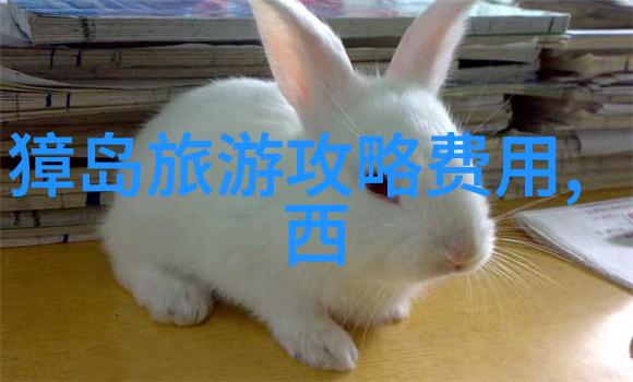 电竞赋能助推四川文旅出圈出彩